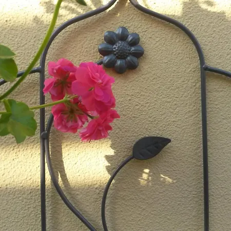 Casa Mica