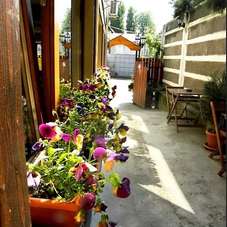 Guest house Casa Mica 3*