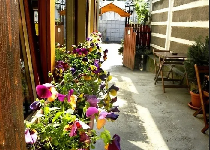 Pensión Casa Mica 3*