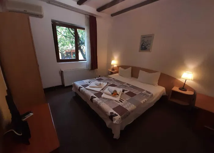 招待所 Casa Mica 3*