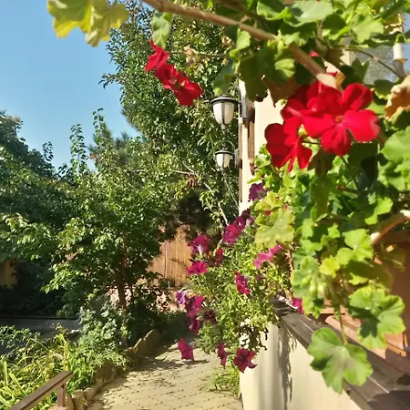 Pensión Casa Mica