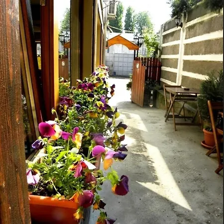 Pensión Casa Mica 3*