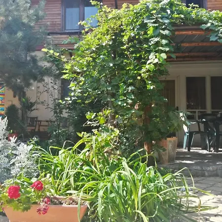Casa Mica Pensión Bucarest