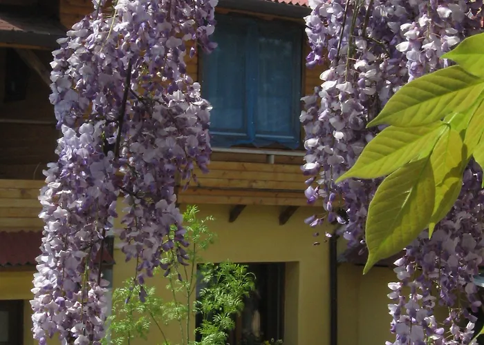 Casa Mica Πανσιόν