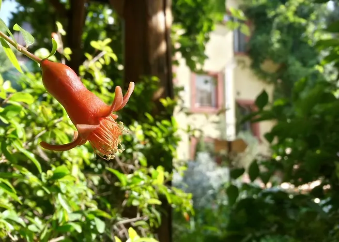 Casa Mica 3* Βουκουρέστι