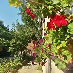 Casa Mica 3*