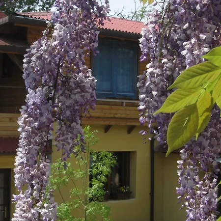 Casa Mica Πανσιόν